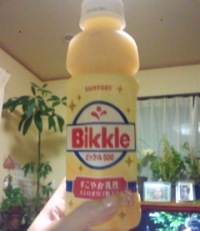 bikk.jpg